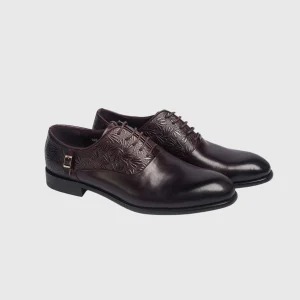 Nobby Cavalli-Dark Brown Wholecut Oxford